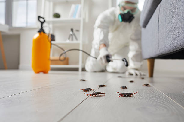 Commercial Kitchen Cockroach Control in Deale